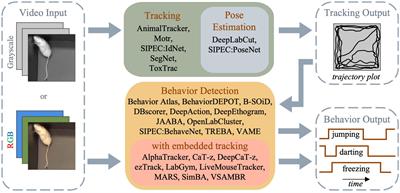 Open-source software for automated rodent behavioral analysis